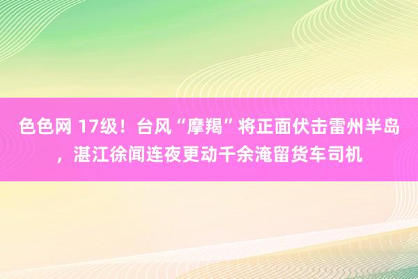 色色网 17级！台风“摩羯”将正面伏击雷州半岛，湛江徐闻连夜更动千余淹留货车司机