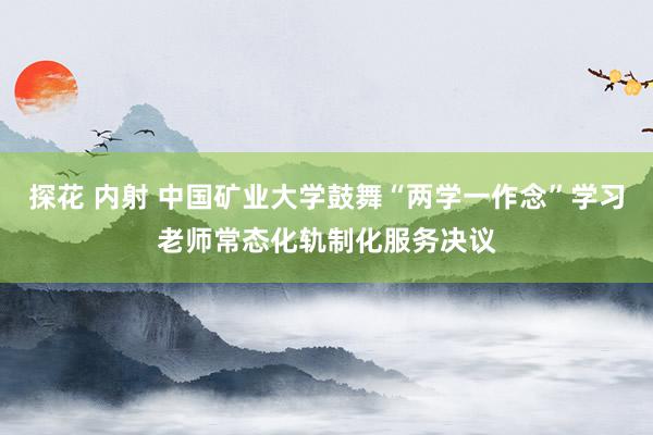 探花 内射 中国矿业大学鼓舞“两学一作念”学习老师常态化轨制化服务决议