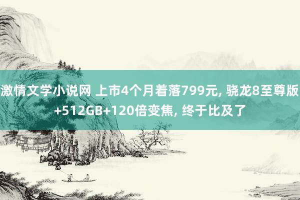 激情文学小说网 上市4个月着落799元， 骁龙8至尊版+512GB+120倍变焦， 终于比及了
