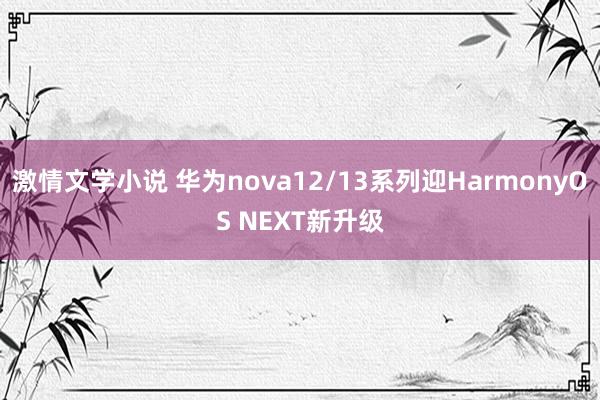 激情文学小说 华为nova12/13系列迎HarmonyOS NEXT新升级