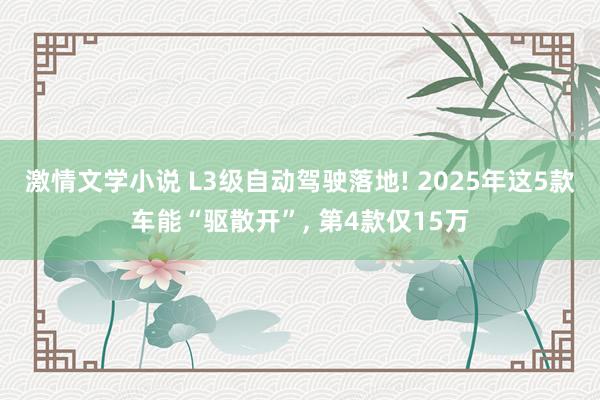 激情文学小说 L3级自动驾驶落地! 2025年这5款车能“驱散开”， 第4款仅15万