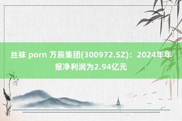 丝袜 porn 万辰集团(300972.SZ)：2024年年报净利润为2.94亿元