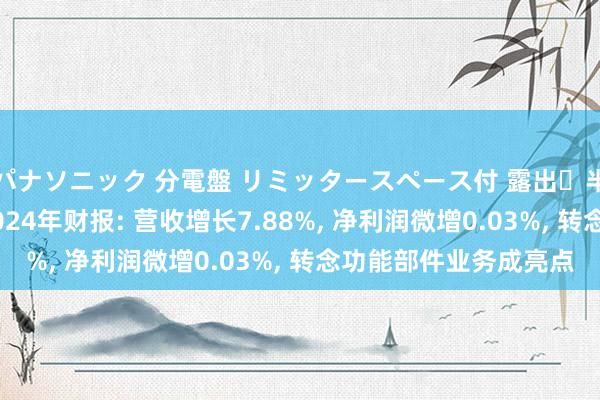 パナソニック 分電盤 リミッタースペース付 露出・半埋込両用形 恒而达2024年财报: 营收增长7.88%， 净利润微增0.03%， 转念功能部件业务成亮点